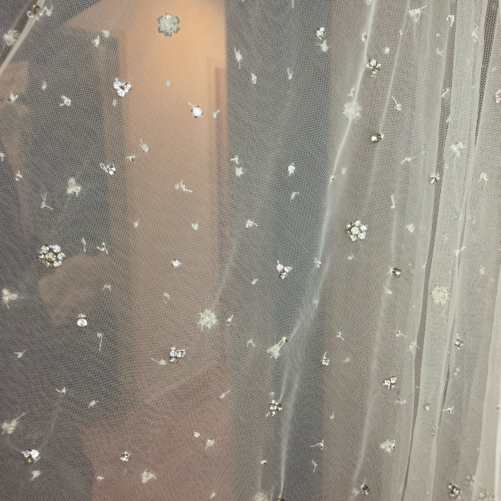 DENNIS BASSO GOWN (WEDDING GOWN) - Picture 6 of 10